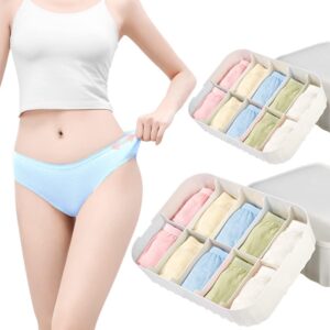 Disposable Women Underwear for Trav...